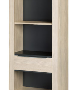 Knihovna do obývacího pokoje Emílio 1